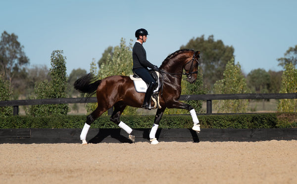 David Shoebridge, FEI Dressage Rider and Founder Salisbury Dressage